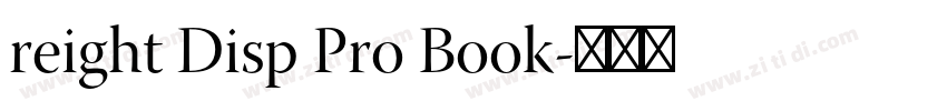 reight Disp Pro Book字体转换